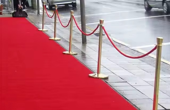 Tapis rouge de l'événement