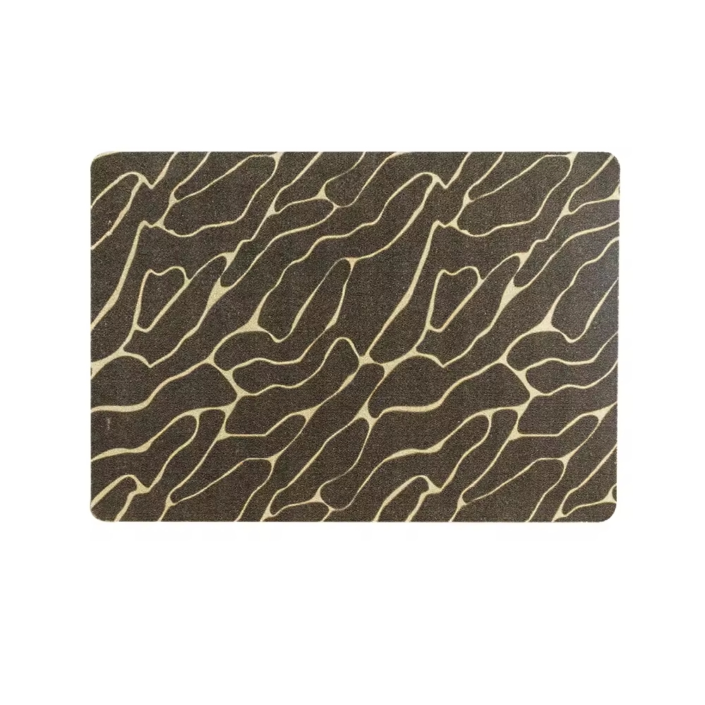 Introduction du paillasson