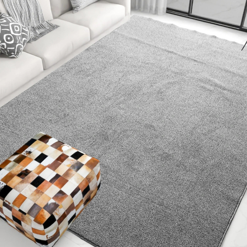 Le tapis de grande surface adapté au tapis doux de la chambre à coucher, les filles et les garçons peuvent être lavés du tapis moelleux, du tapis de maternelle en velours long sans glissement, adapté aux nourrissons et aux tout-petits Children's R