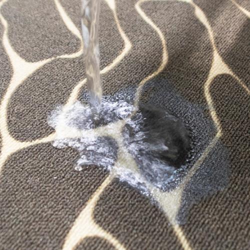 Présentoir imperméable à paillasson imprimé en velours circulaire