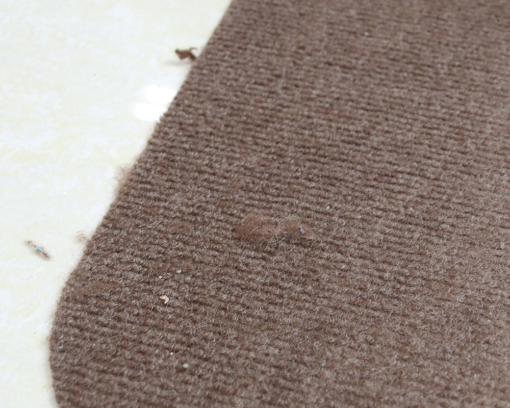 Coussin de chaise traditionnelle