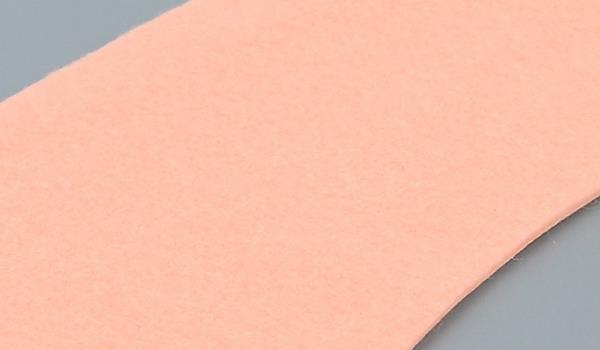 Gros plan sur le siège des toilettes RATO