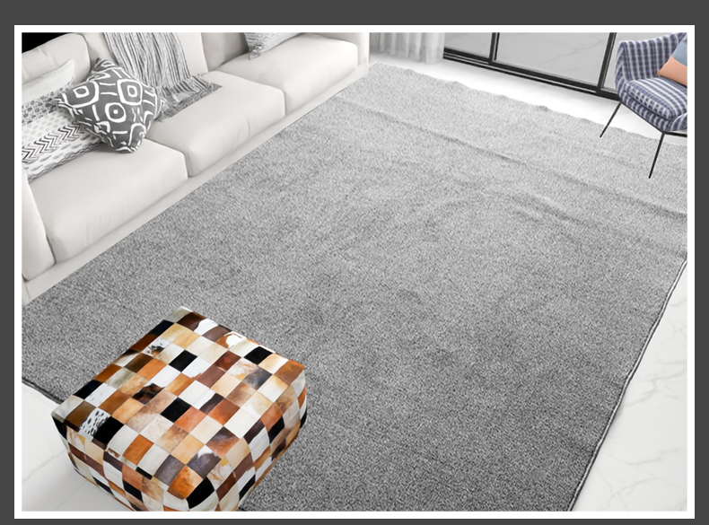  Tapis en peluche d'intérieur, utilisé pour la décoration de la maison, Le tapis de sol poilu du dortoir