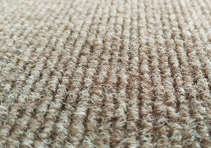 surface du tapis pour animaux de compagnie