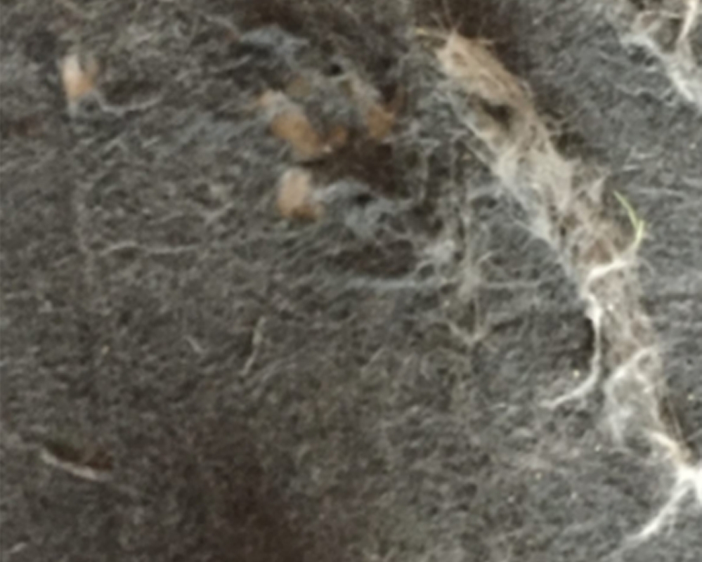 Surface traditionnelle du tampon de chaise