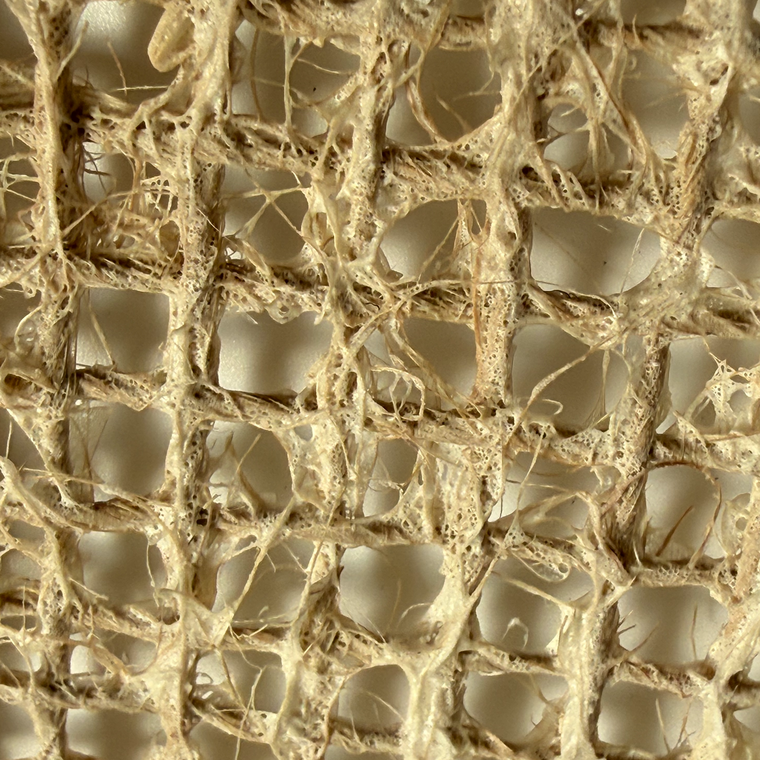 Fabricant de tapis en jute naturel de haute qualité | Vente en gros de tapis antidérapants respectueux de l'environnement